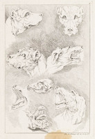 KG 01102
<br/>
Serie honden, wolven en leeuwen (11 bladen)
<br/>
<em>Ridinger, Johann Elias (1698-1767)</em>